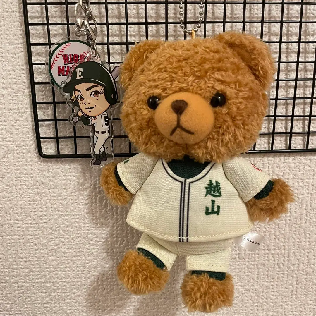 日曜劇場 下剋上球児 越山高校コスチュームベア 新品 下剋上球児 越山高校コスチュームベア TBS ベア 日曜劇場