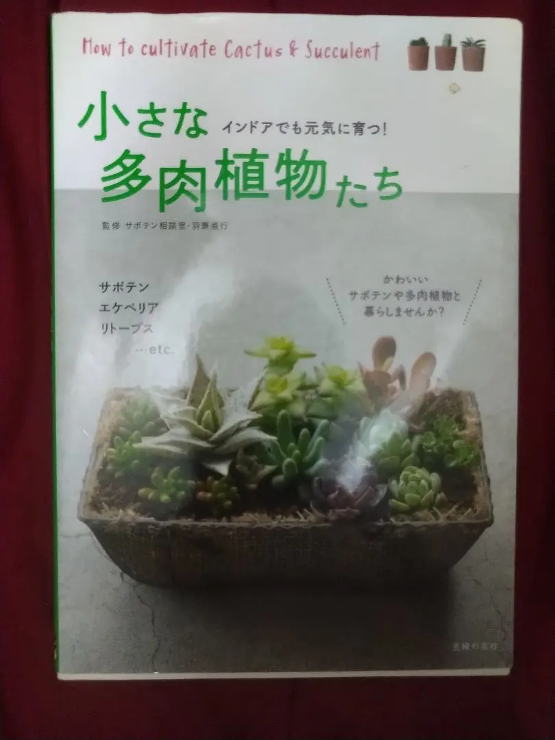 ※限定セール　生ける宝石　リトープス  lithops 島田　保彦 2025年最新】リトープス 本の人気アイテム - メルカリ
