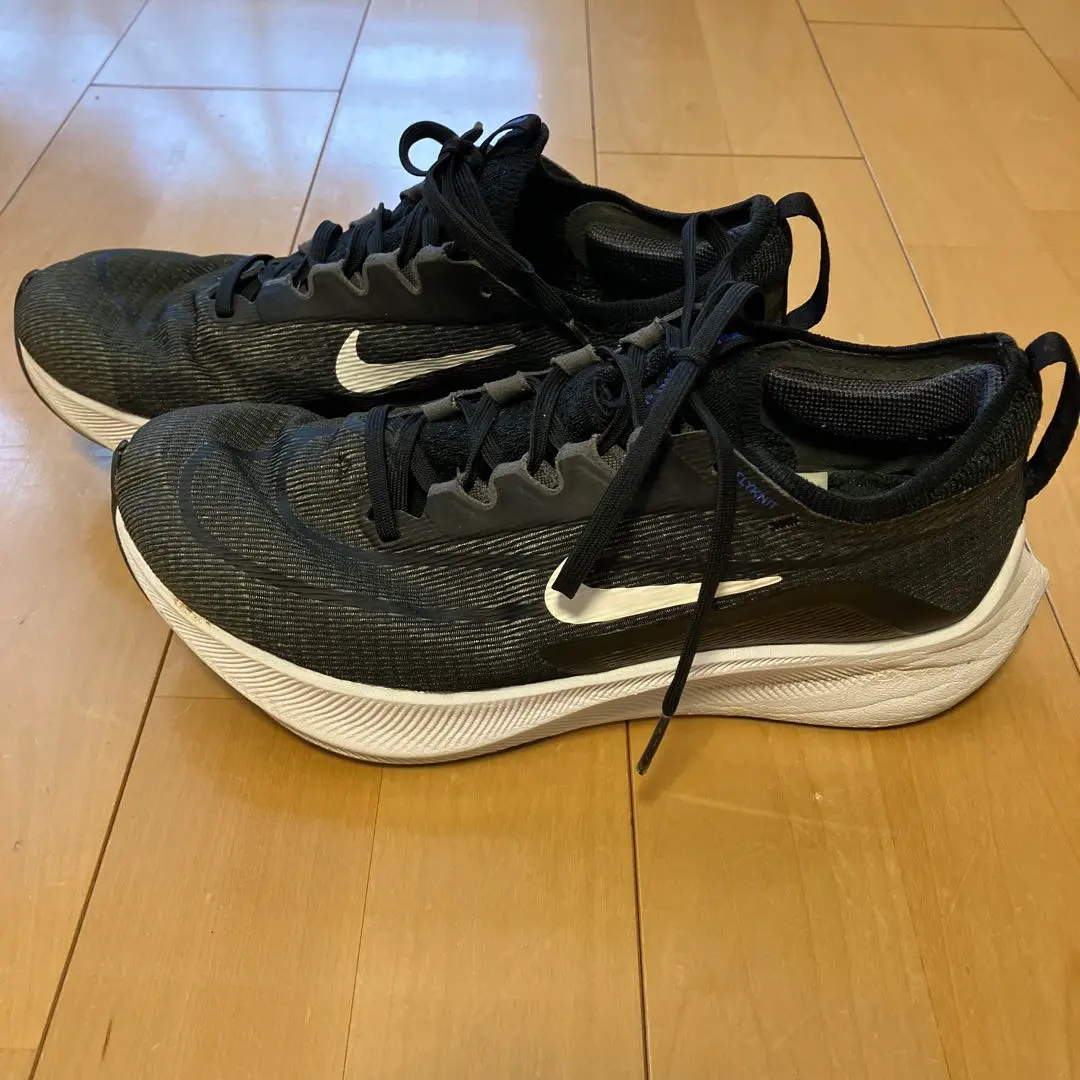 2025年最新】nike zoom winflo 4の人気アイテム - メルカリ