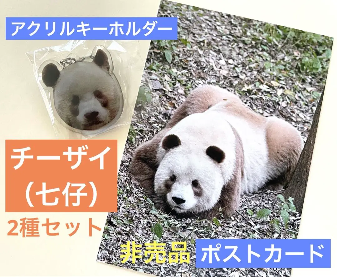 2025年最新】チーザイ パンダの人気アイテム - メルカリ