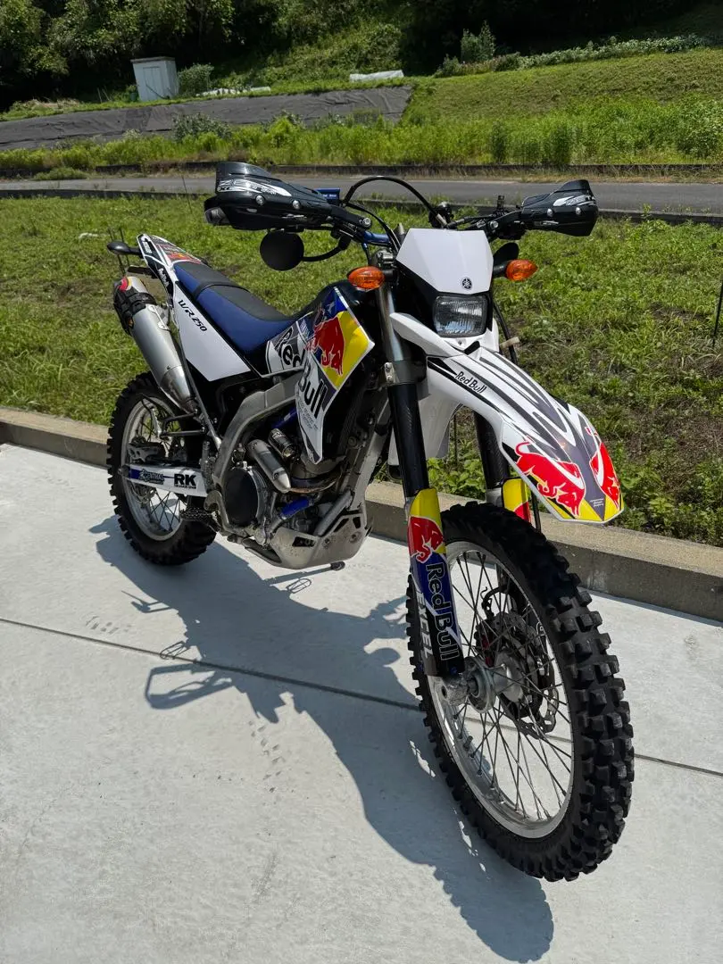 2025年最新】Wr250R 外装の人気アイテム - メルカリ