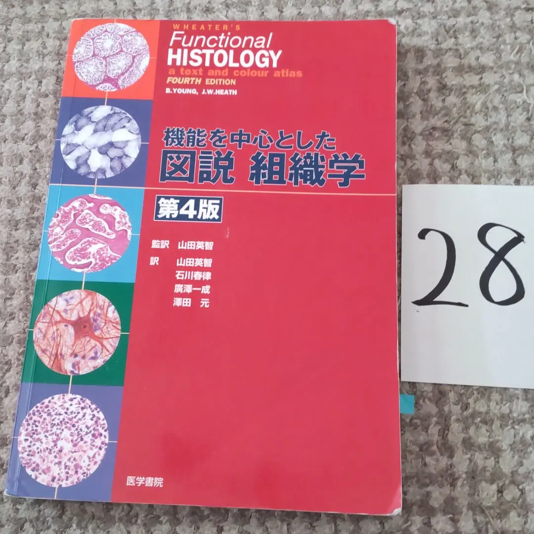 機能を中心とした図説組織学 Amazon.co.jp: 機能を中心とした図説組織学 第4版 : 山田 英智: 本
