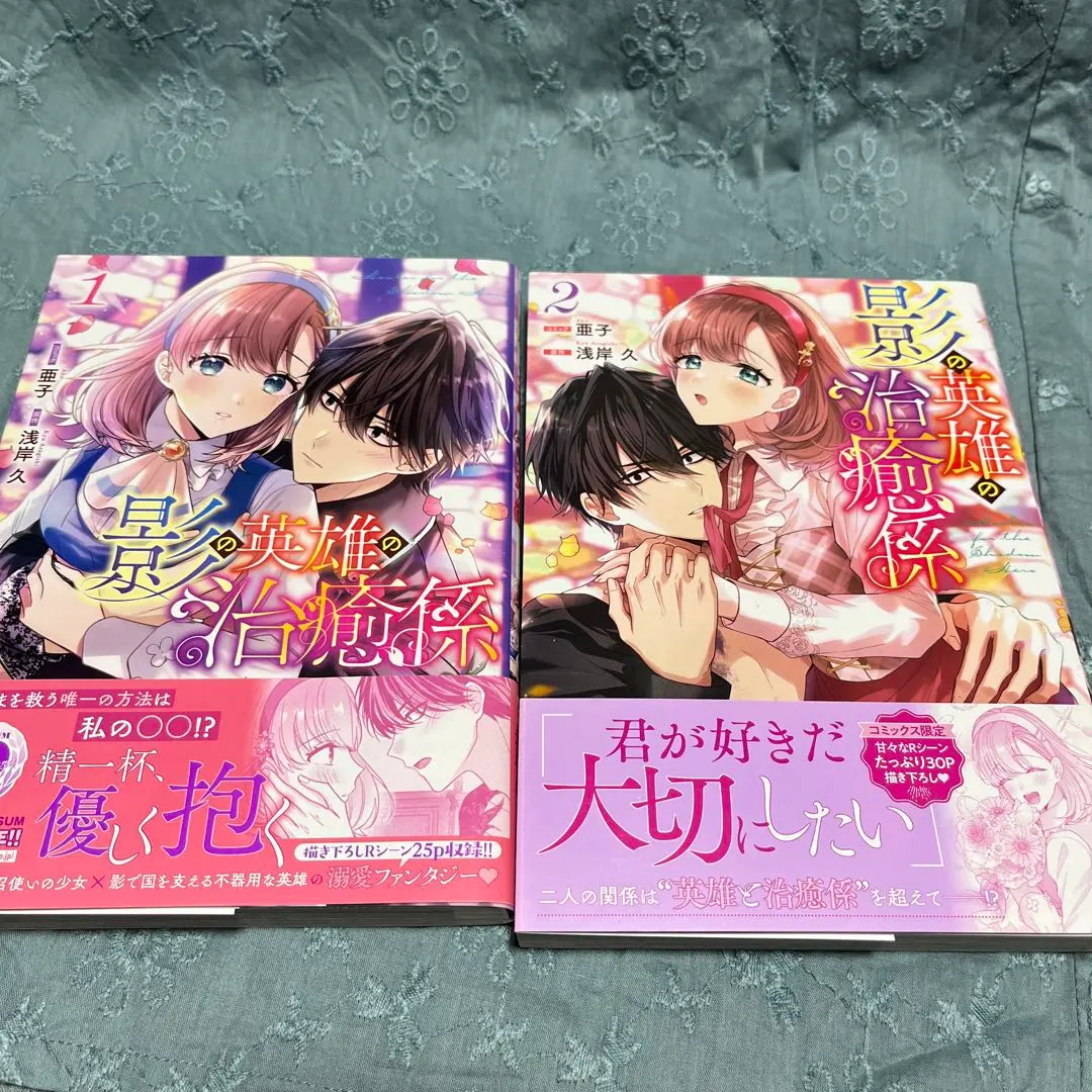 Thumbnail of Healer of the Shadow Hero Volumes 1 & 2