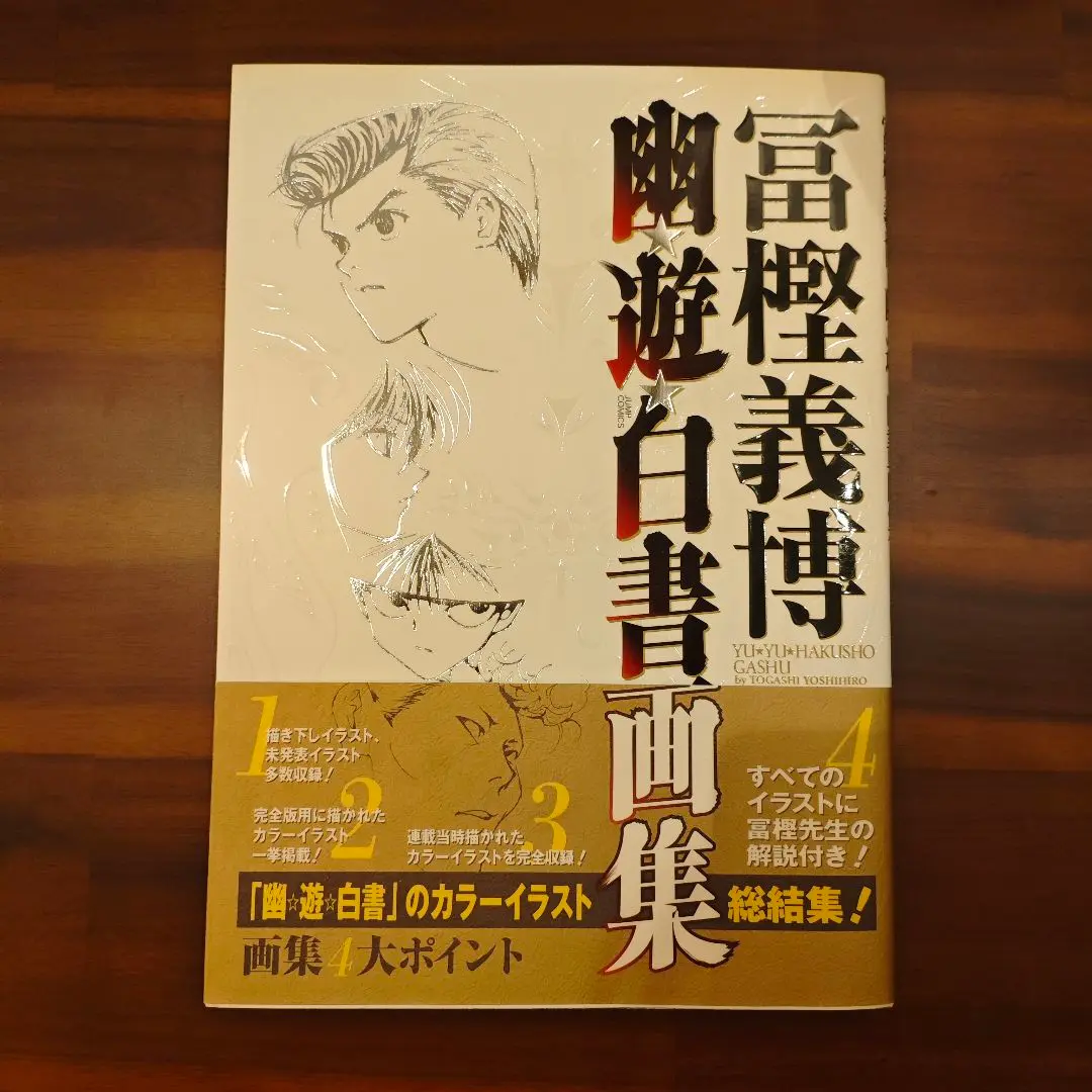 幽・遊・白書画集 幽☆遊☆白書 画集 冨樫義博 集英社 幽遊白書 イラスト集 - メルカリ