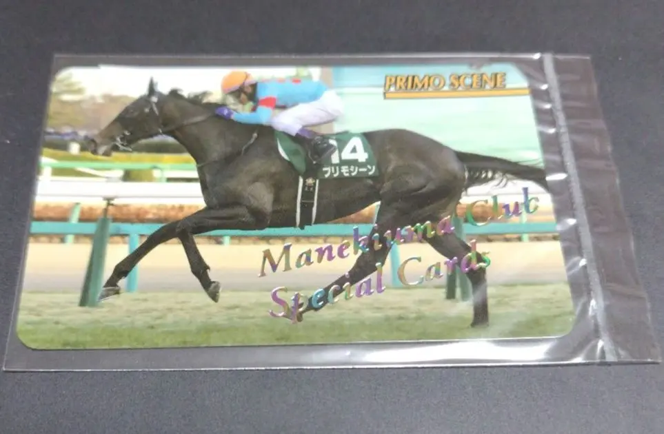 エフフォーリア　No.2289 まねき馬　レインボーカード 2025年最新】まねき馬レインボーカードの人気アイテム - メルカリ