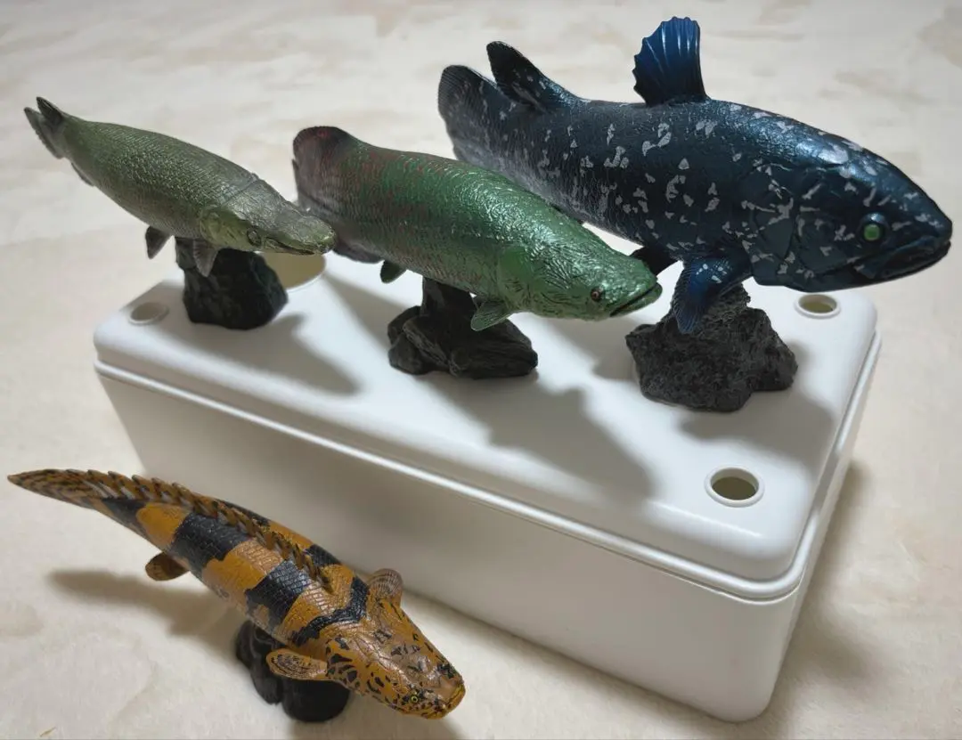 フェバリットリアルフィギュアコレクション　アカメ✖イワナ フェバリットコレクション リアルフィギュアコレクション アカメ