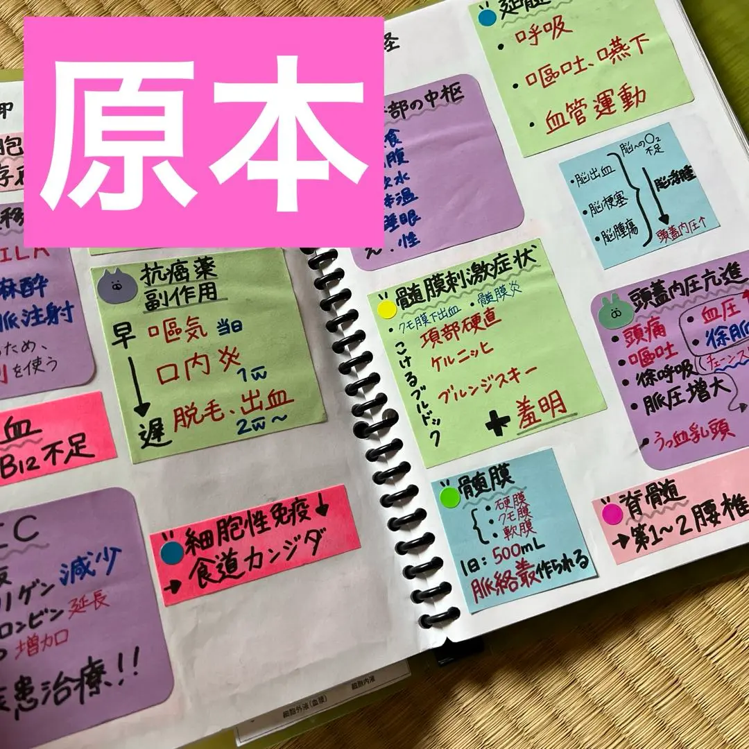 【原本発送】臨床検査技師国家試験 付箋ノート　ファイル2冊分 原本発送】臨床検査技師国家試験 付箋ノート ファイル2冊分