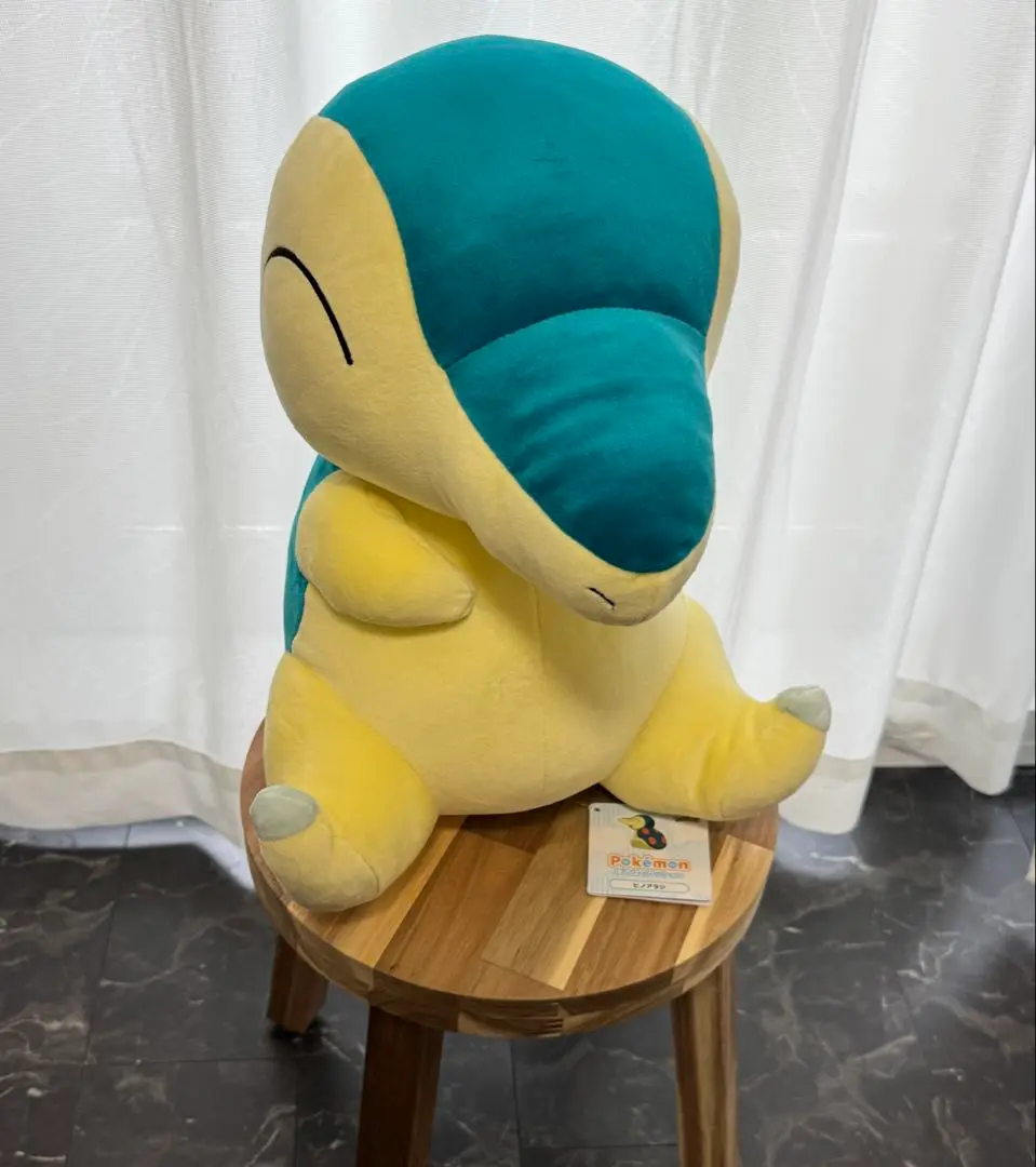 等身大ヒノアラシ Amazon.co.jp: ポケモンセンターオリジナル ぬいぐるみ 等身大