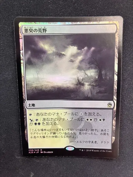 MtG 悪臭の荒野　ゼンディカーエクスペディション 2025年最新】悪臭の荒野 foilの人気アイテム - メルカリ