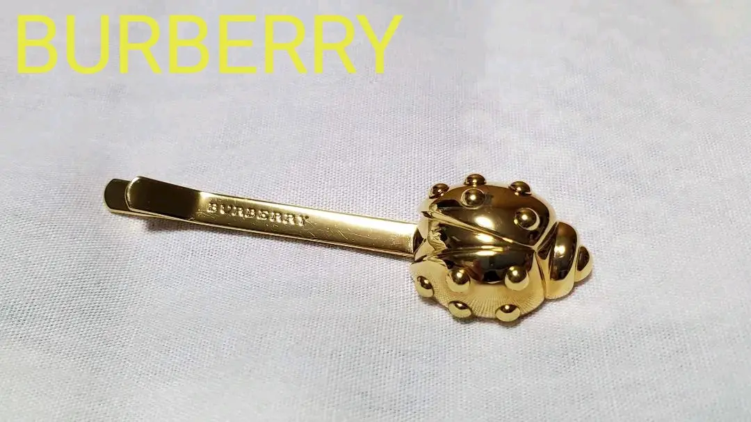60000から29000に変更Tiffany & Co. てんとう虫チャーム m66831684607_1.jpg?1722649704