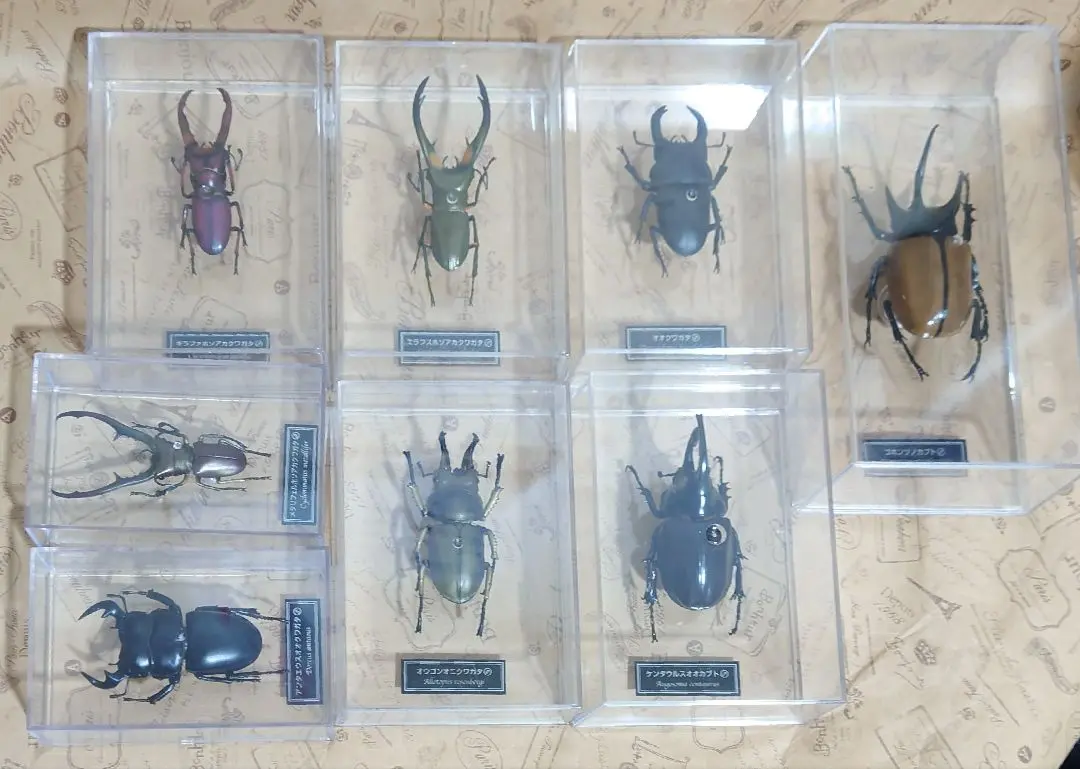 2025年最新】クワガタ デアゴスティーニの人気アイテム - メルカリ