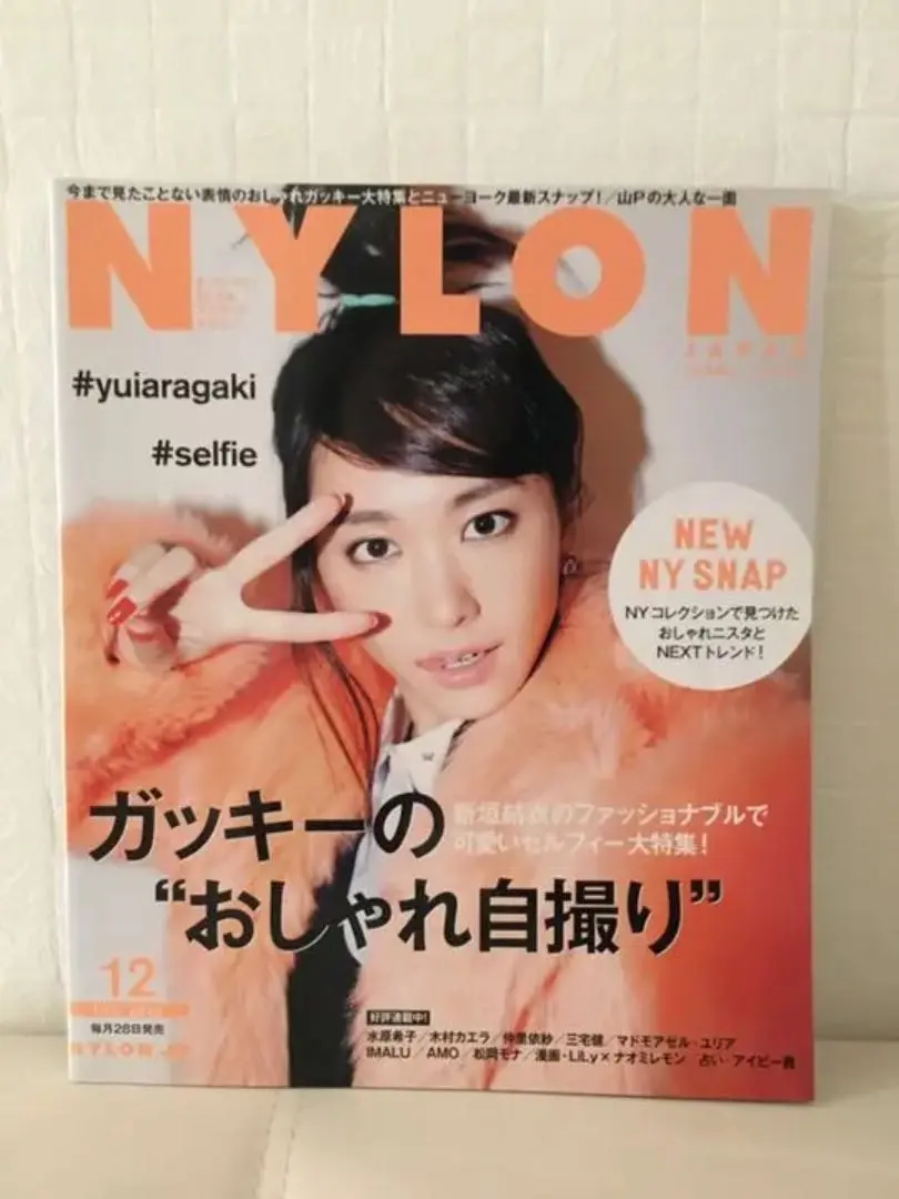 NYLONジャパン　2014年12月号限定版　新垣結衣 とあるブロガーの備忘録（仮）: NYLON JAPAN 特別編集 新垣結衣