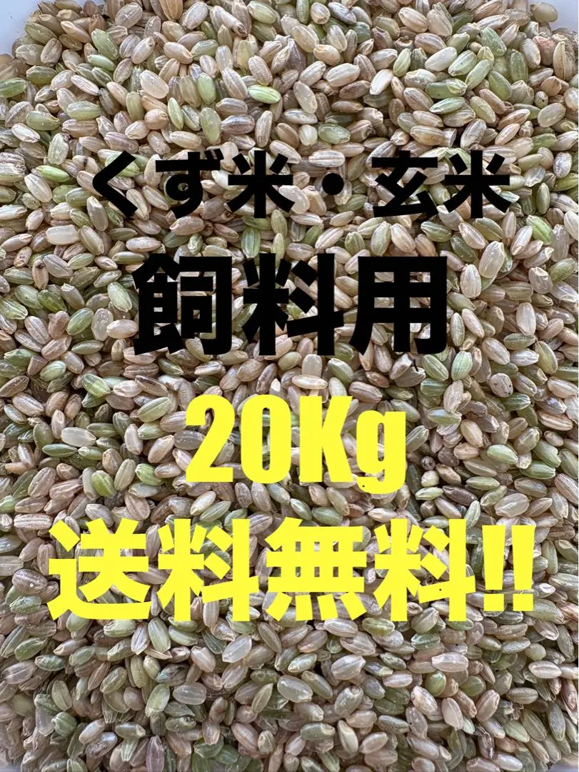 令和6年度産 くず米 20kg 令和6年 くず米 飼料用 肥料用 20kg クズ米 玄米 鳥のエサ 滋賀
