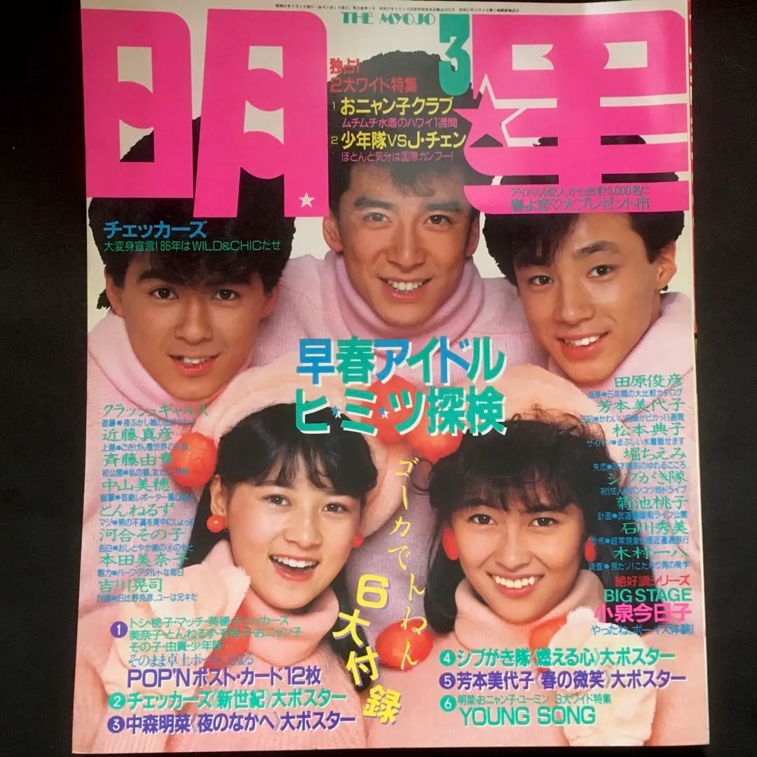 シブガキ隊写真集　映画パンフレット等 シブがき隊 ボーイズ＆ガールズ」ポスタービジュアル (c)東映