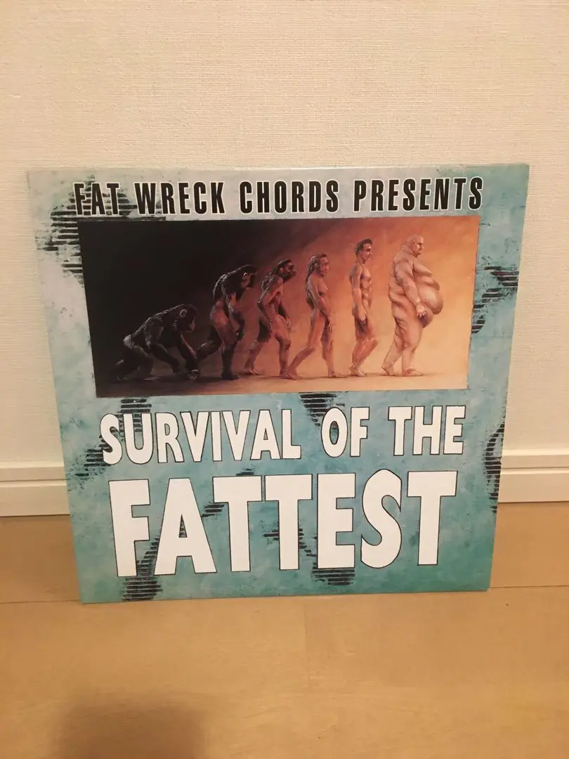 FAT WRECK CHORDSオムニバスレコード3枚セット V.A. / Fat Music Vol. V: Live Fat, Die Young - PUNK MART