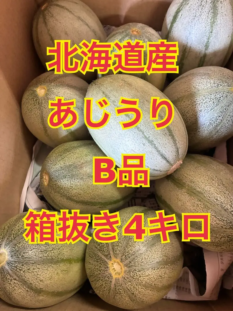 ！本日限定品！　北海道産あじうり　B品　箱抜き8キロ超 2025年最新】あじうりの人気アイテム - メルカリ