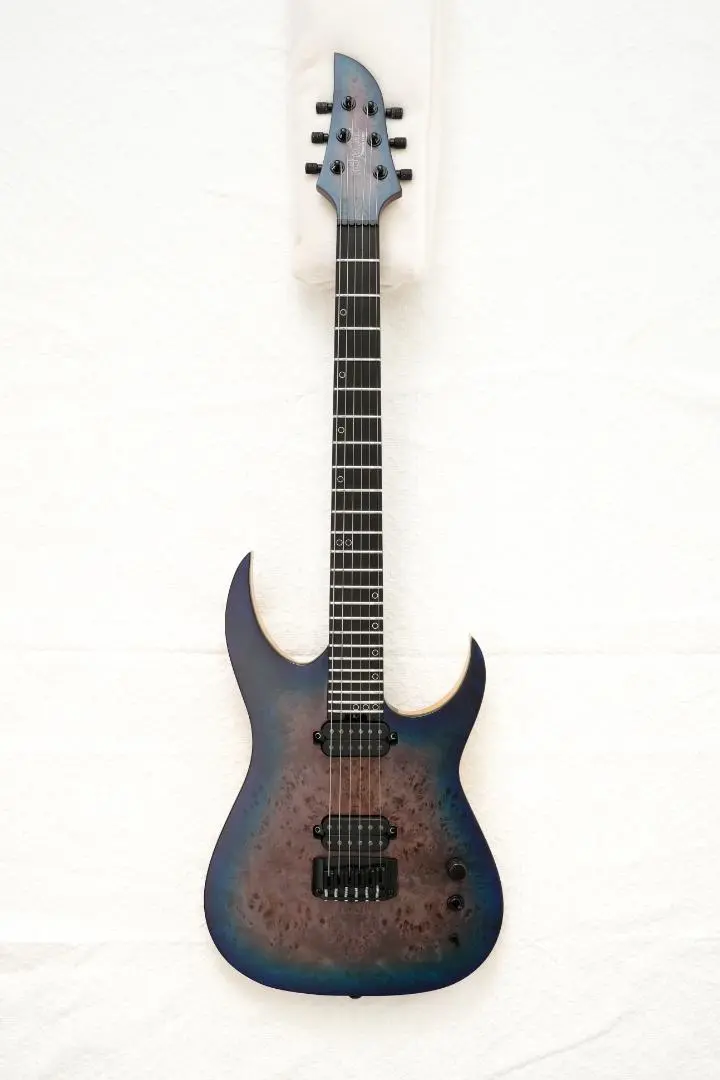 Mayones Regius6 エレキギター 自然木仕上げ ハードケース付 MAYONES(メイワンズ) / REGIUS 6 Regius 6/Trans Black/2016