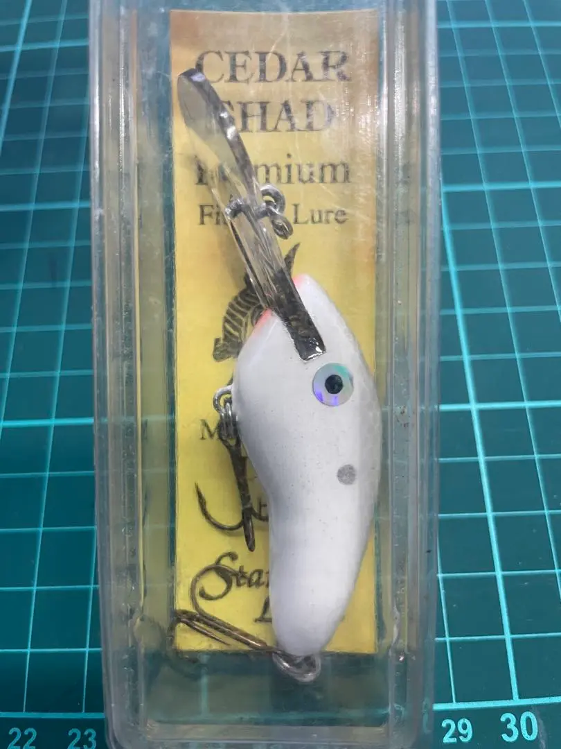 ファッション 通販アウトドア・釣り・旅行用品 - スタンフォード