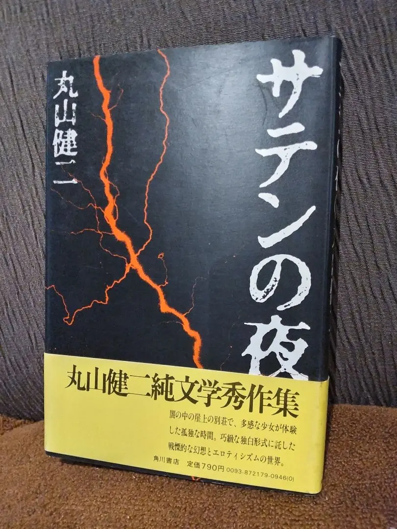 署名入り 丸山健二 おはぐろとんぼ夜話 上中下 左右社 単行本 初版 芥川賞作家 2025年最新】丸山健二著の人気アイテム - メルカリ