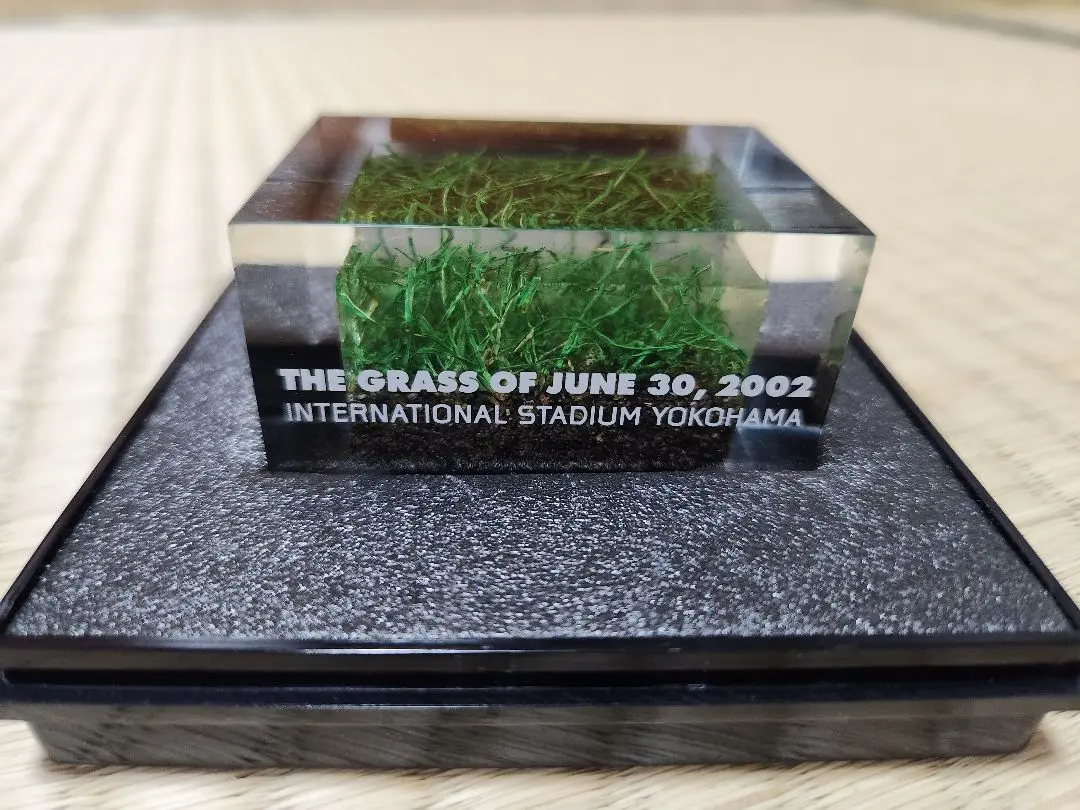 2002年W杯、決勝戦の芝！正規品！