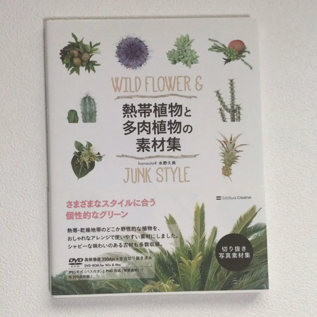 多肉植物写真集　1巻. 2巻 国際多肉植物協会 国際多肉植物協会