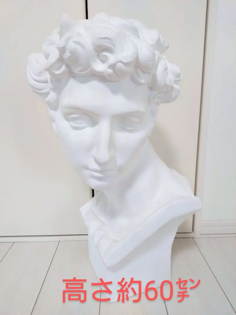 石膏像 メディチ 胸像 ダビデ像 古代ギリシャ ミケランジェロ