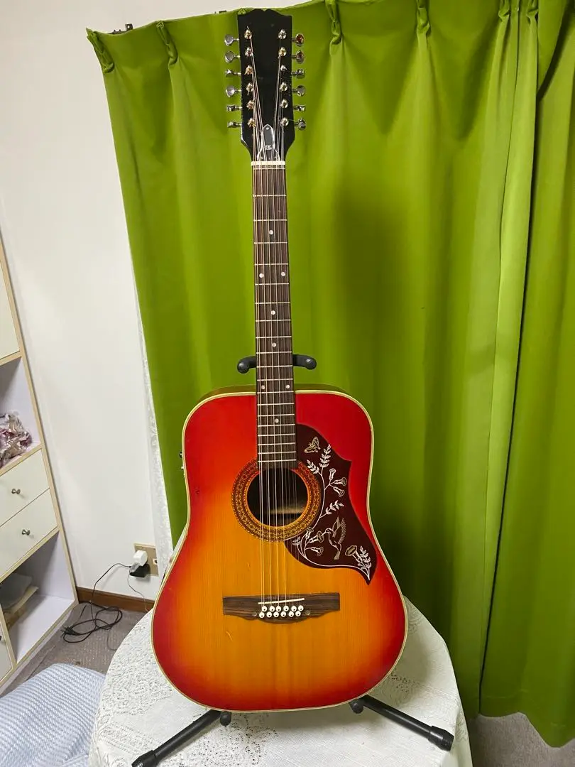 2025年最新】Fender Japan アコースティックギターの人気