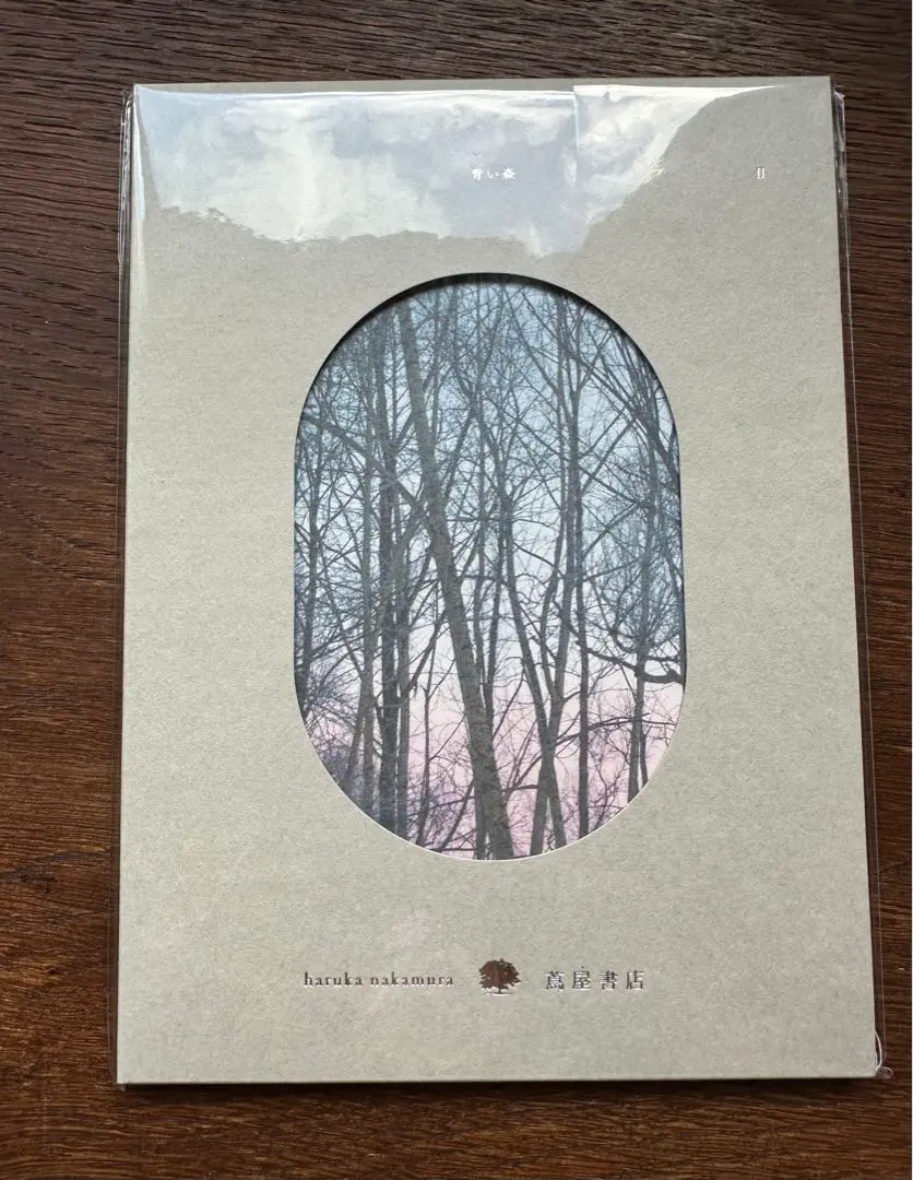 haruka nakamura 青い森 Ⅳ LP　レコード版 青い森 IV-蔦屋書店の音楽-(LP)/haruka nakamura/「青い森」を