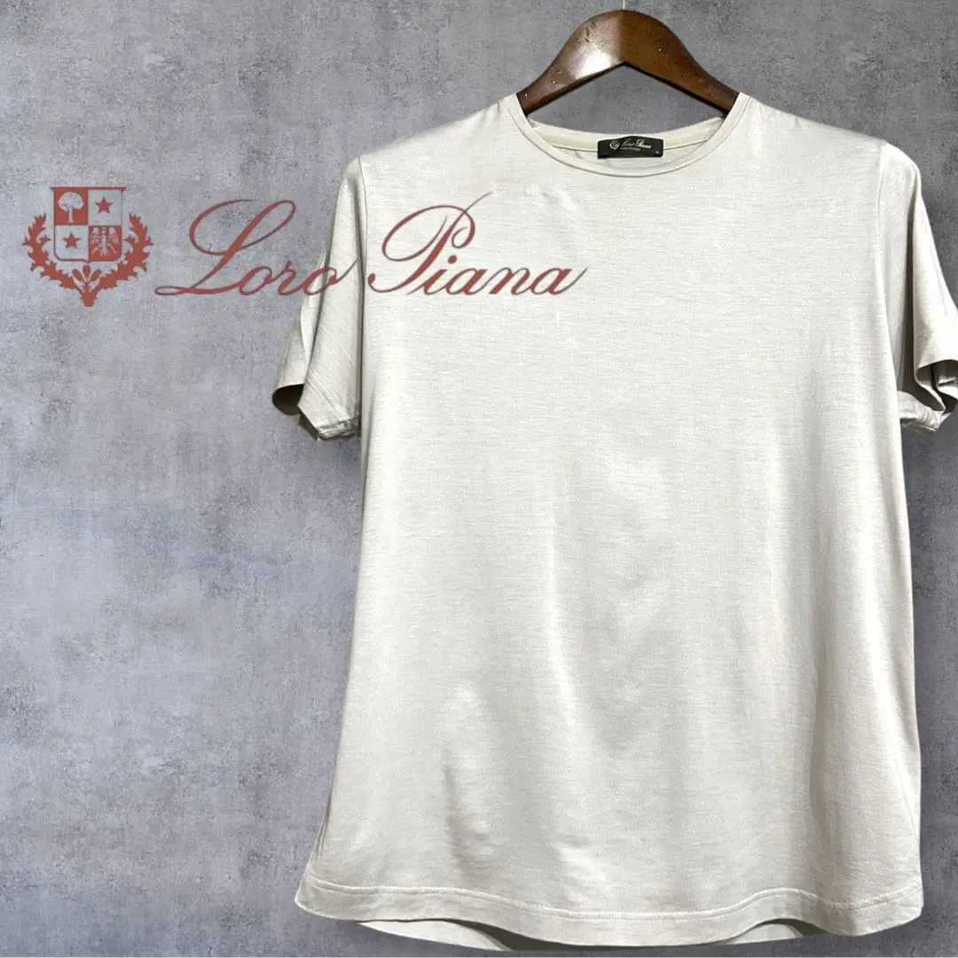 ♡ほぼ未使用♡ロロピアーナ 半袖Tシャツ コットン 38 ブラウン系 2025年最新】ロロピアーナ メンズ Tシャツの人気アイテム - メルカリ