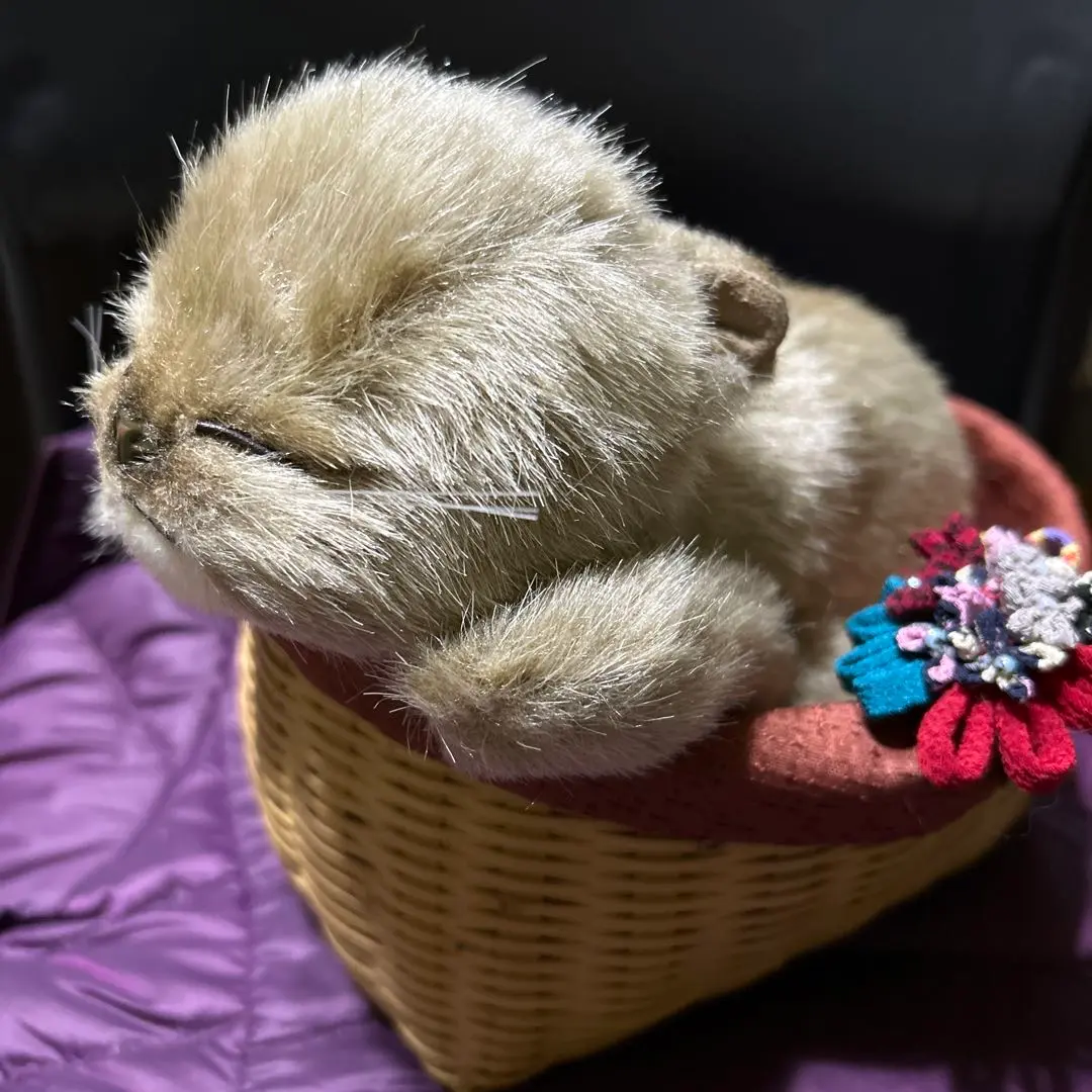 リーベ社　ねこ　ぬいぐるみ Amazon.co.jp: リーベ社 シャム猫 ねこ ぬいぐるみ Passy : おもちゃ