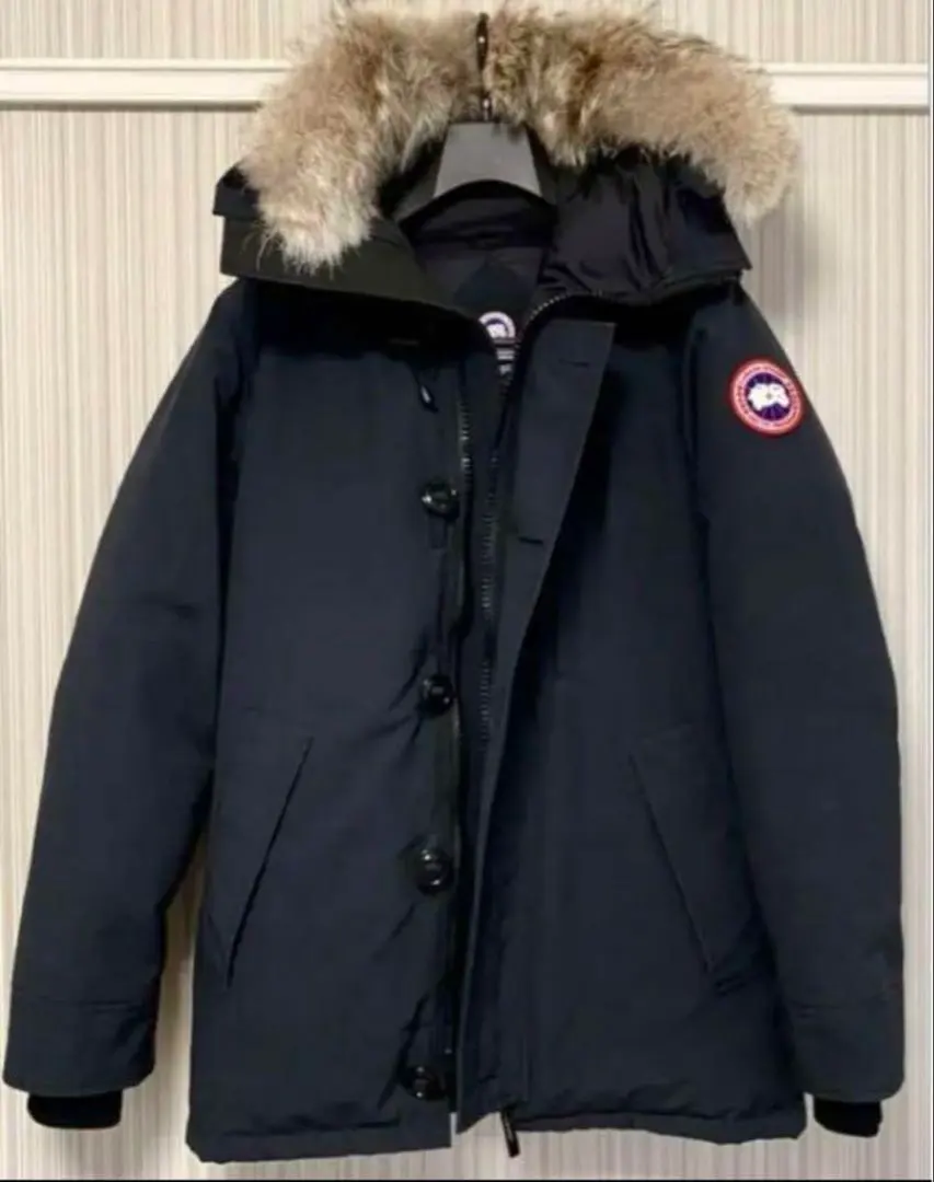 Thumbnail of Canada Goose