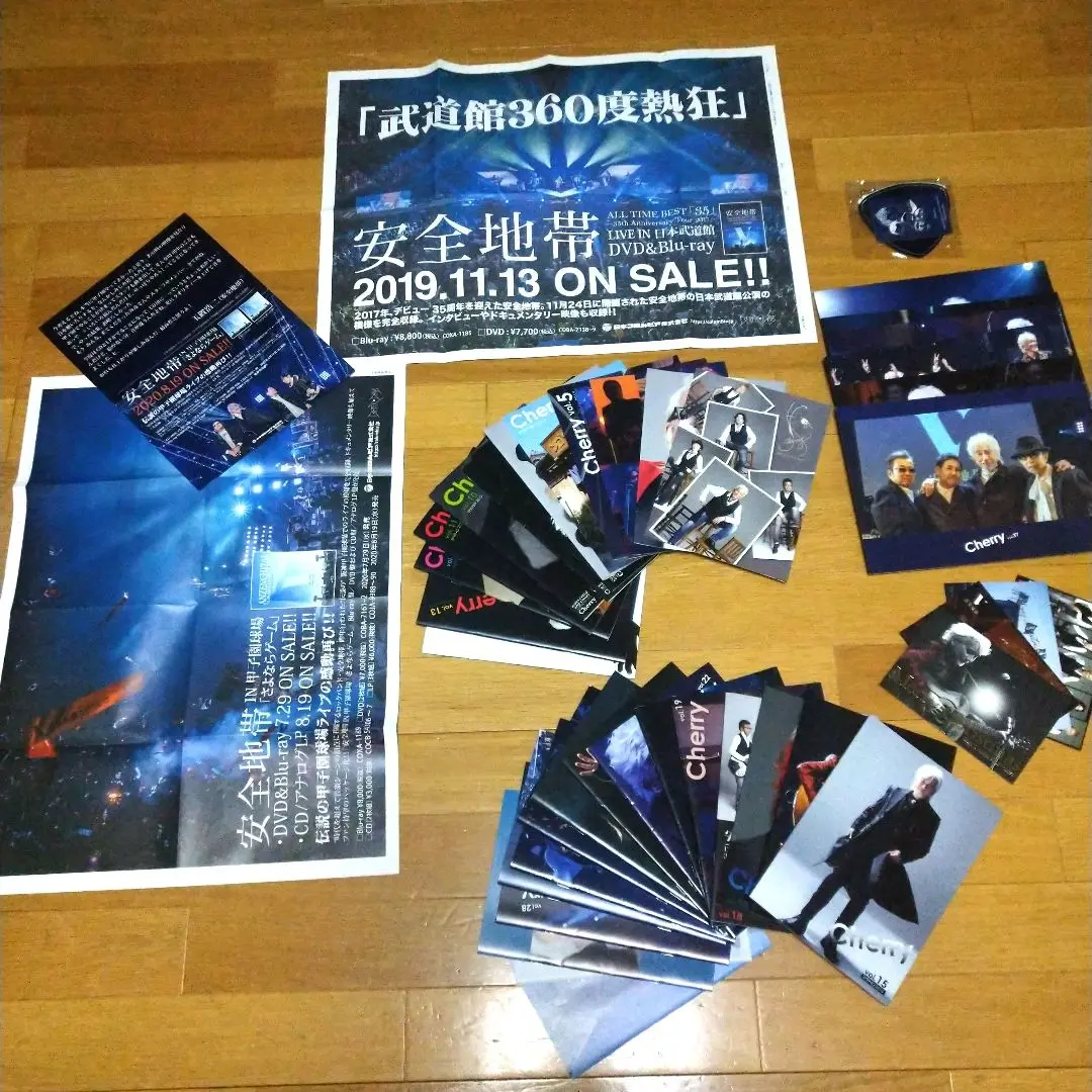 玉置浩二　本人使用　ギターピック　安全地帯 玉置浩二・安全地帯 ギターピック」コレクション公開中 in