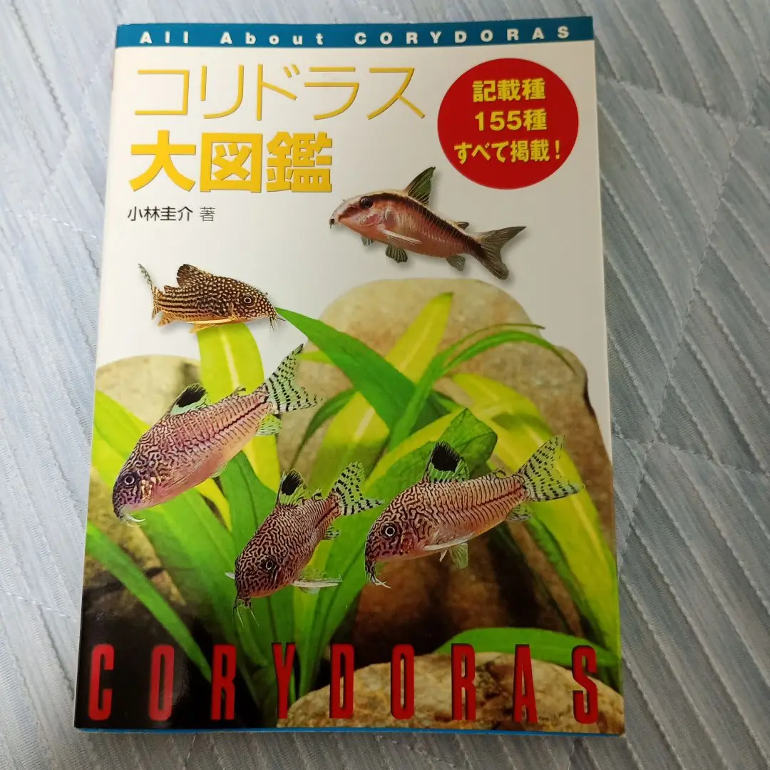 【即発送！栞付※状態必読】　新コリドラス大図鑑　小林圭介　166種すべて掲載！ 新コリドラス大図鑑 小林圭介著 アクアライフ - メルカリ
