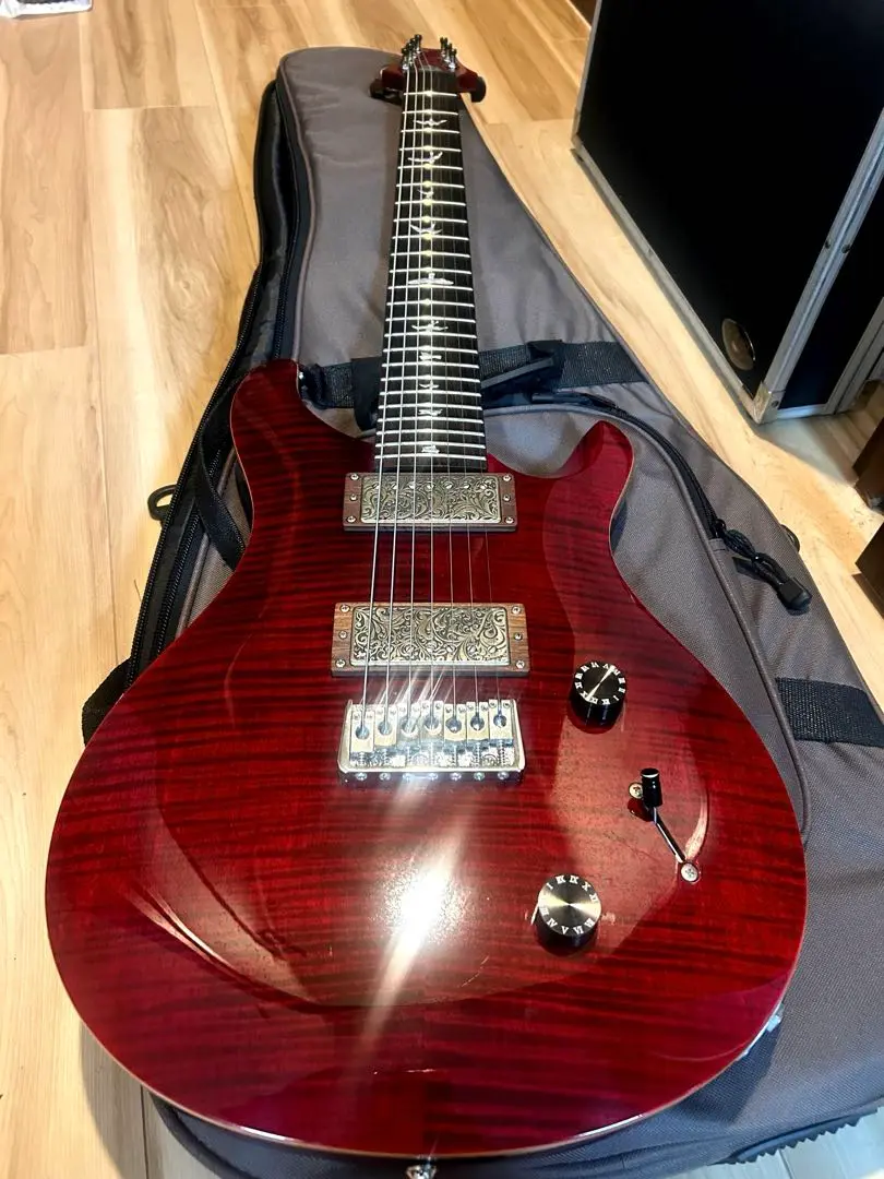 Paul Reed Smith /PRS ポール・リード・スミス SE CUSTOM 24 7
