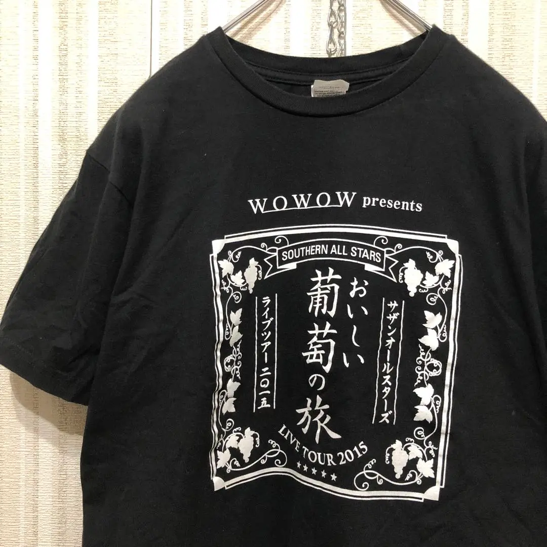サザンオールスターズ(1冊200円計算)198冊分切り抜きファイル　Tシャツ付き サザンオールスターズ(1冊200円計算)198冊分切り抜きファイルT