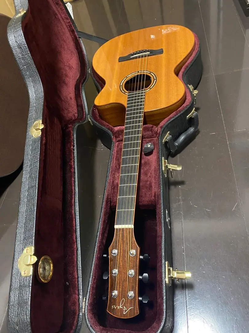 2025年最新】AYERS GUITARの人気アイテム - メルカリ