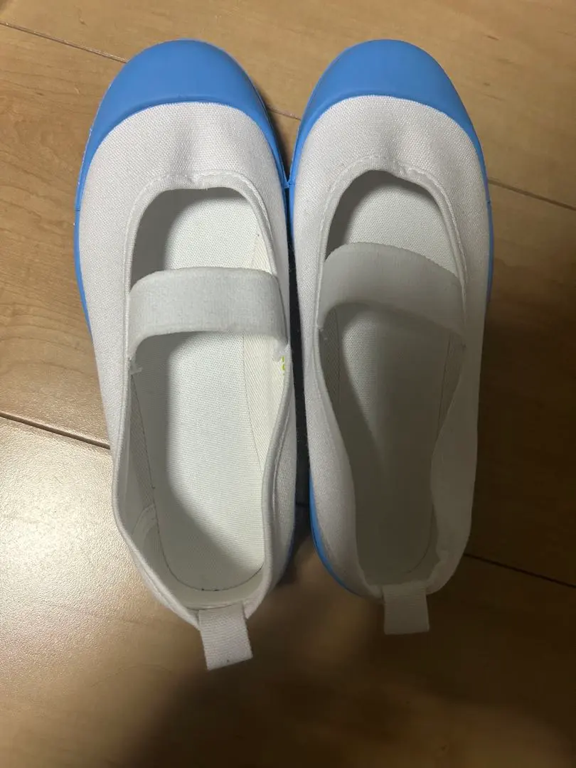 Thumbnail of Indoor shoes 20.0