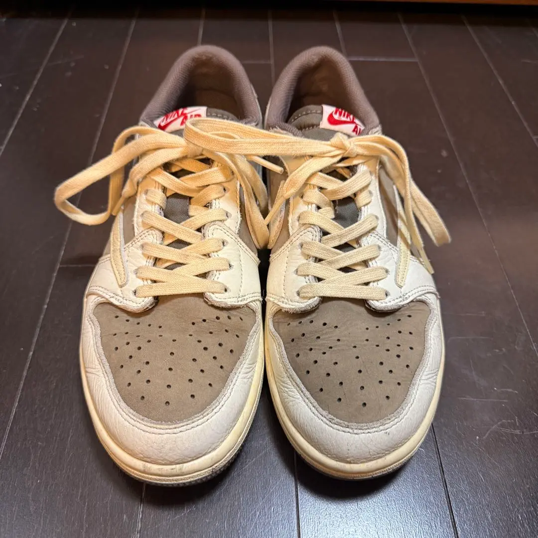 きゃみてんぷう専用　SMOCA 歯磨10個セット 41PQvTk2PaL.jpg