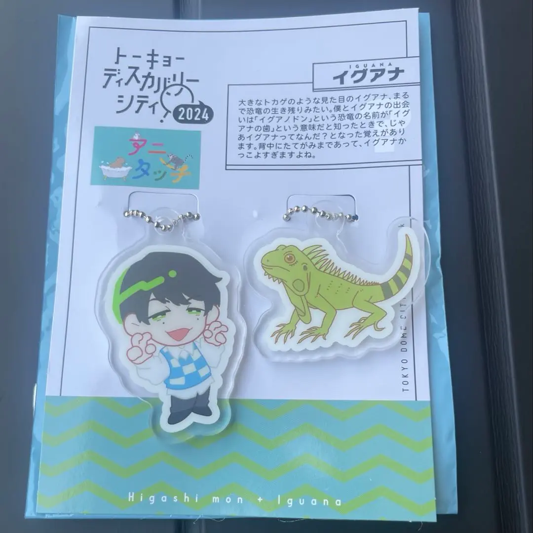 QuizKnock 東問 アニタッチ アクキー QuizKnock アニタッチ アクリルキーホルダー 東言 - メルカリ