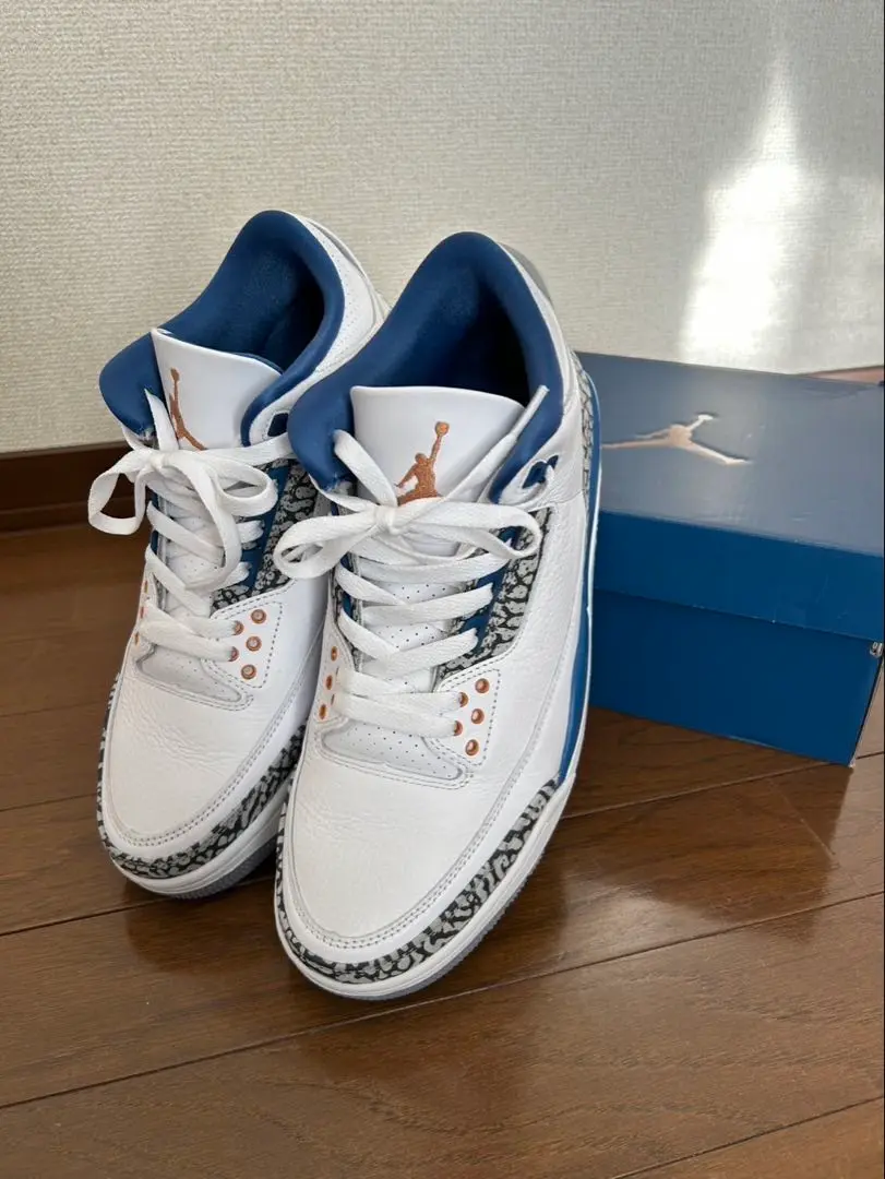靴 Nike Air Jordan 3 RetroTrueBlueandCopper 2025年最新】nike air jordan 3 retro 