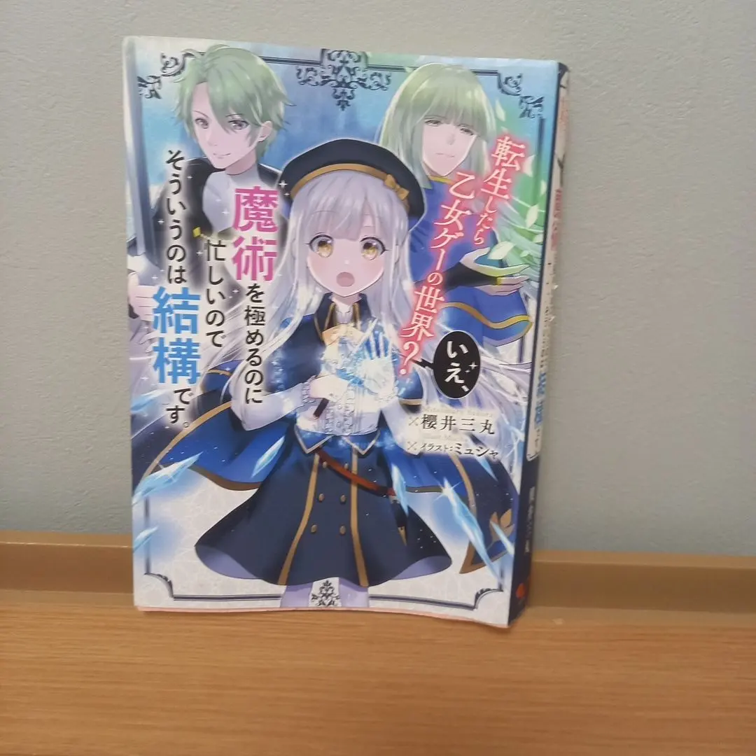 Thumbnail of Reincarnated into an otome game world? No, I'm too busy mastering magic, so that's a bit...