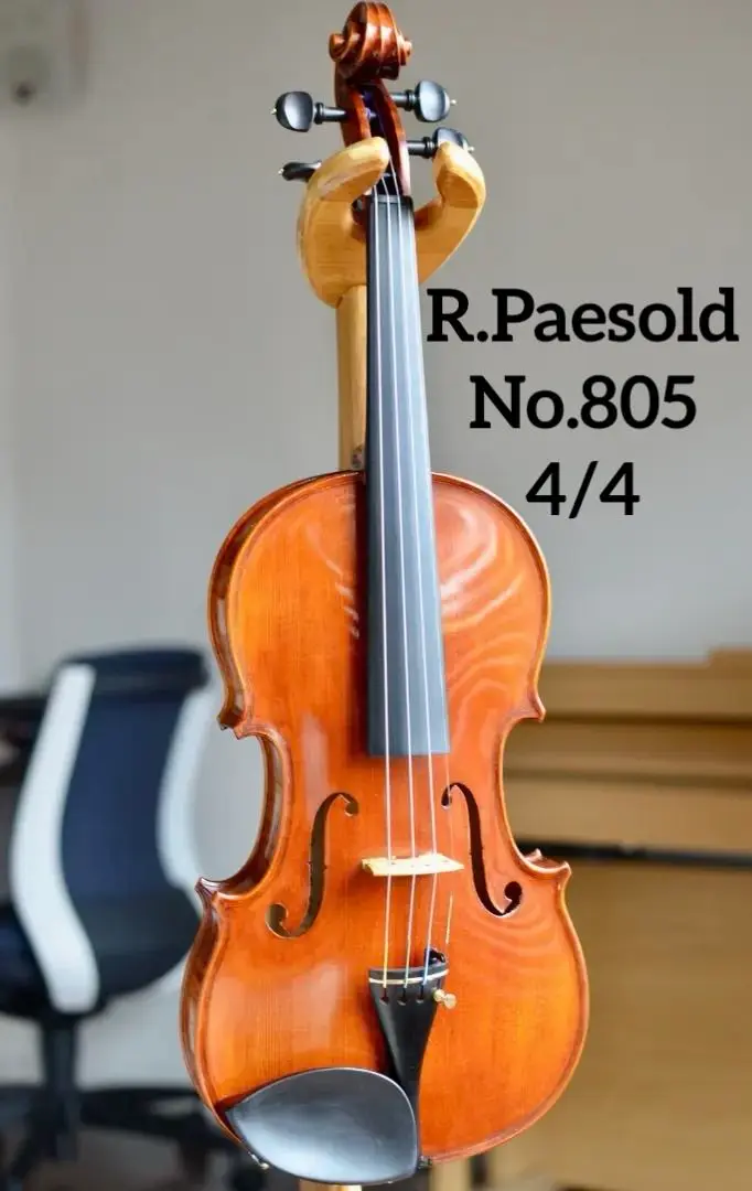 Roderich Paesold 802 4/4 バイオリン 1992年製Ω
