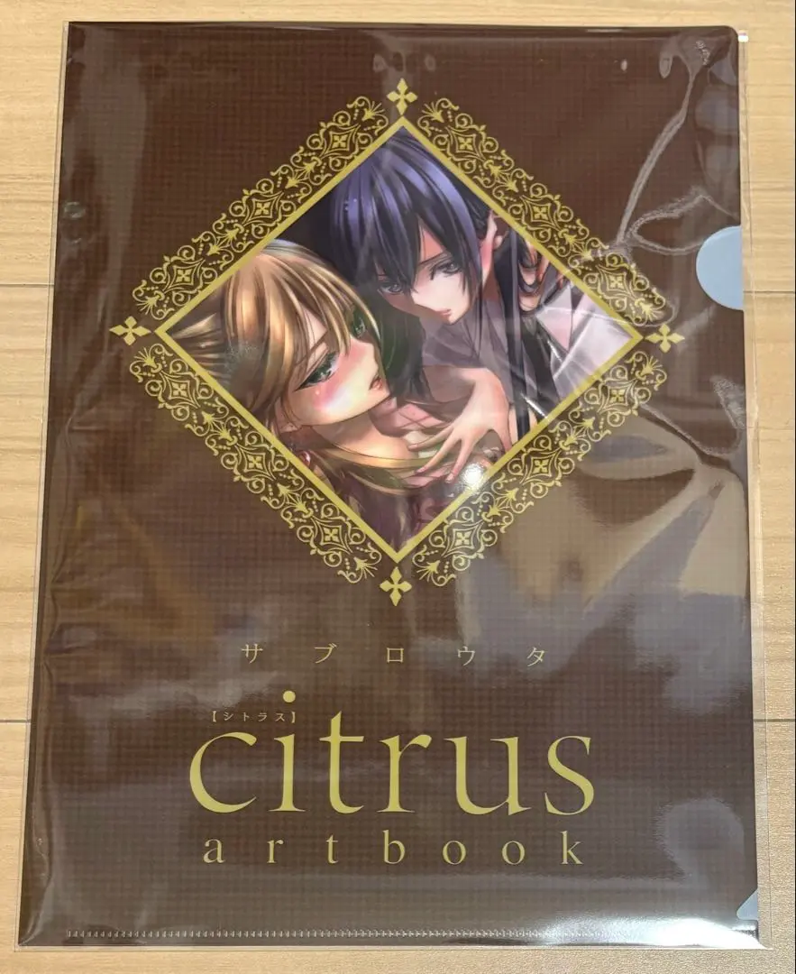 2025年最新】citrus artbookの人気アイテム - メルカリ 2025年最新】citrus artbookの人気アイテム - メルカリ