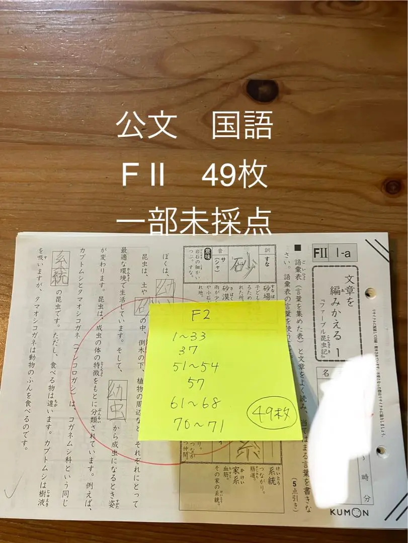 公文　国語　FⅡ　1から190 　20枚抜けあり　未使用 公文 くもん 国語 G1 1ー200と Ⅱ1-200の400枚 10枚綴り