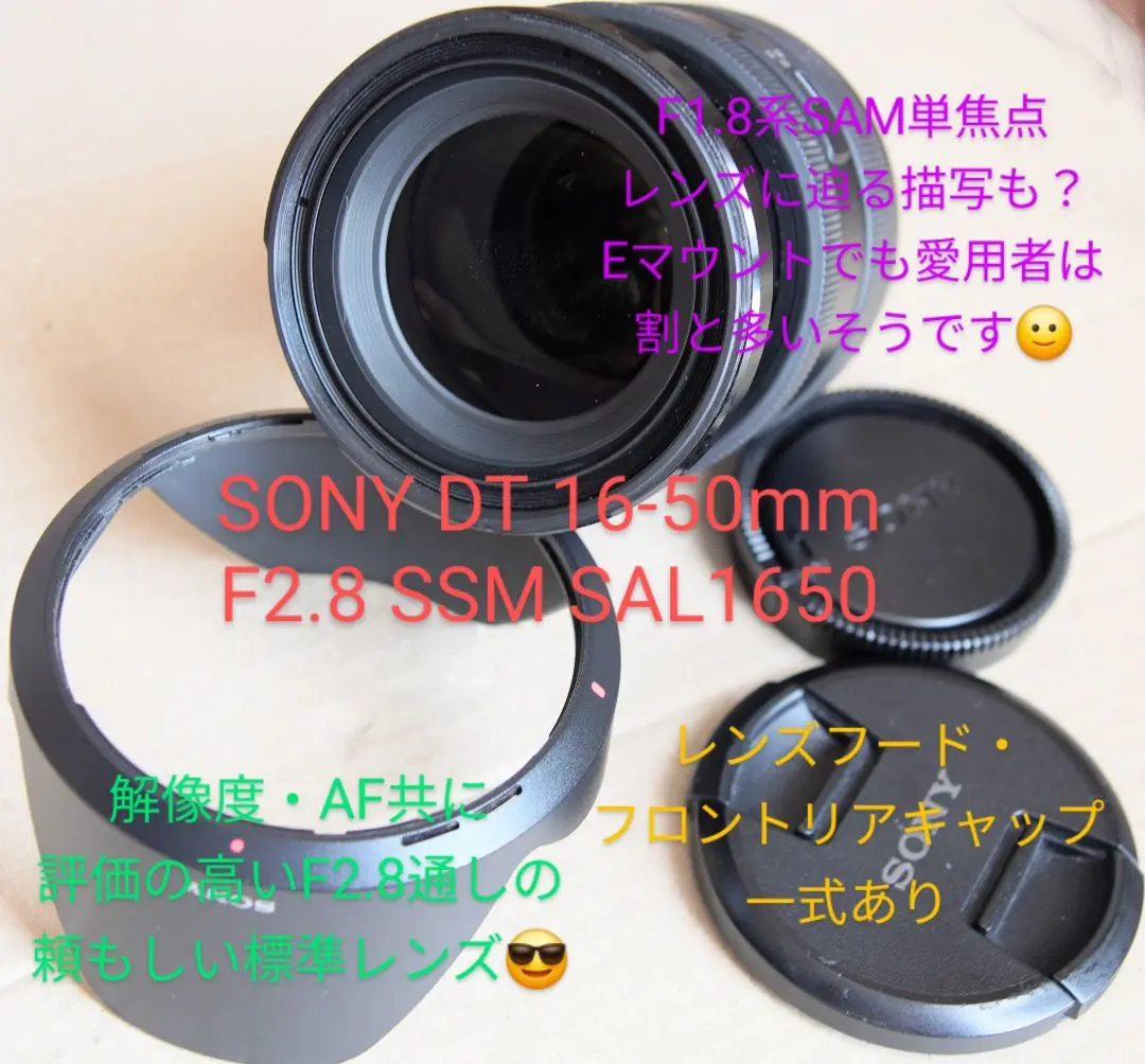 ソニー) SONY DT16-50/2.8 SSM