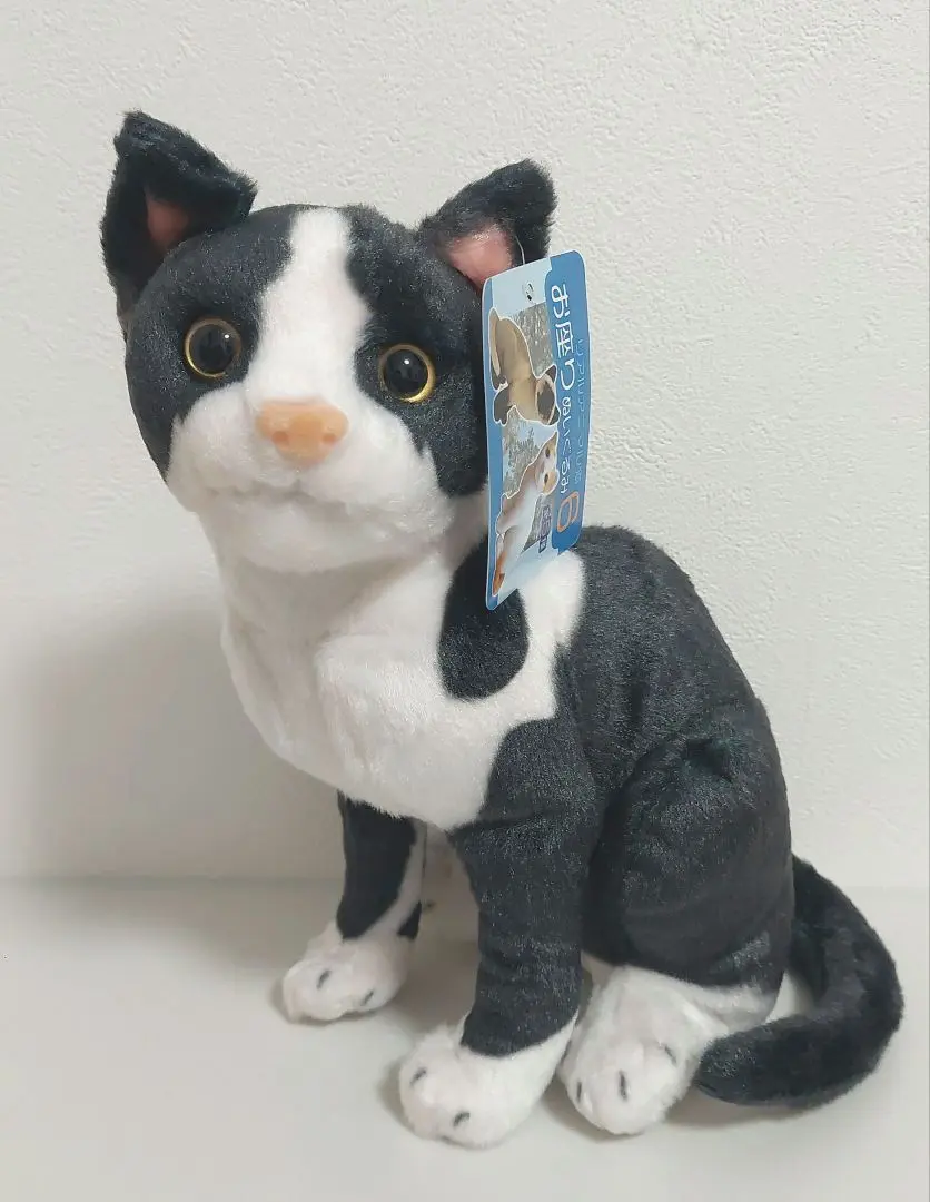 新品５個セット　リアルアニマル　猫　お座り ぬいぐるみ　にゃんこ　BIG ねこ 猫グッズ」リアルアニマル猫お座りぬいぐるみ5の商品ページ｜卸