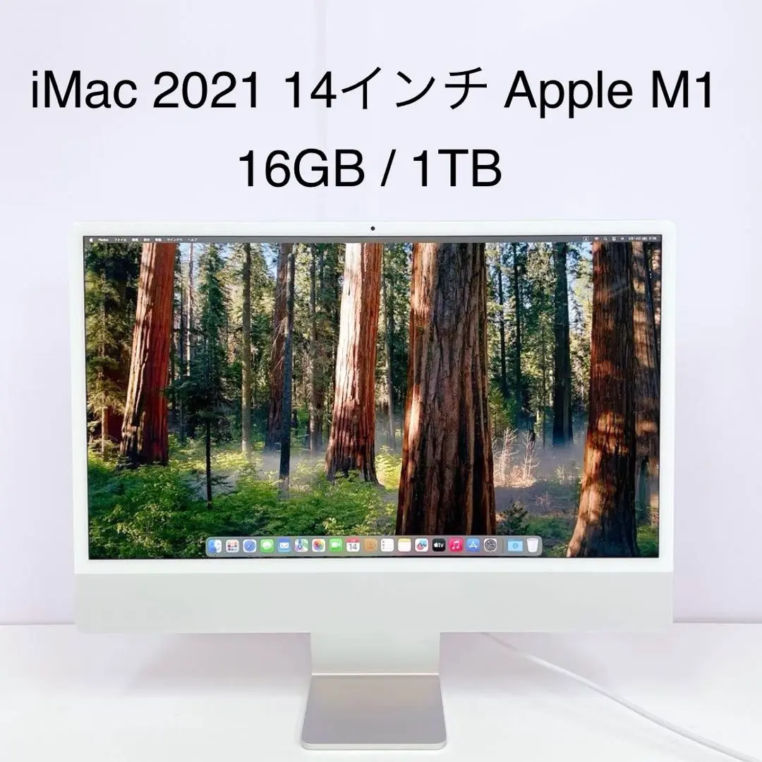 m82804047604_1.jpg?1742123724