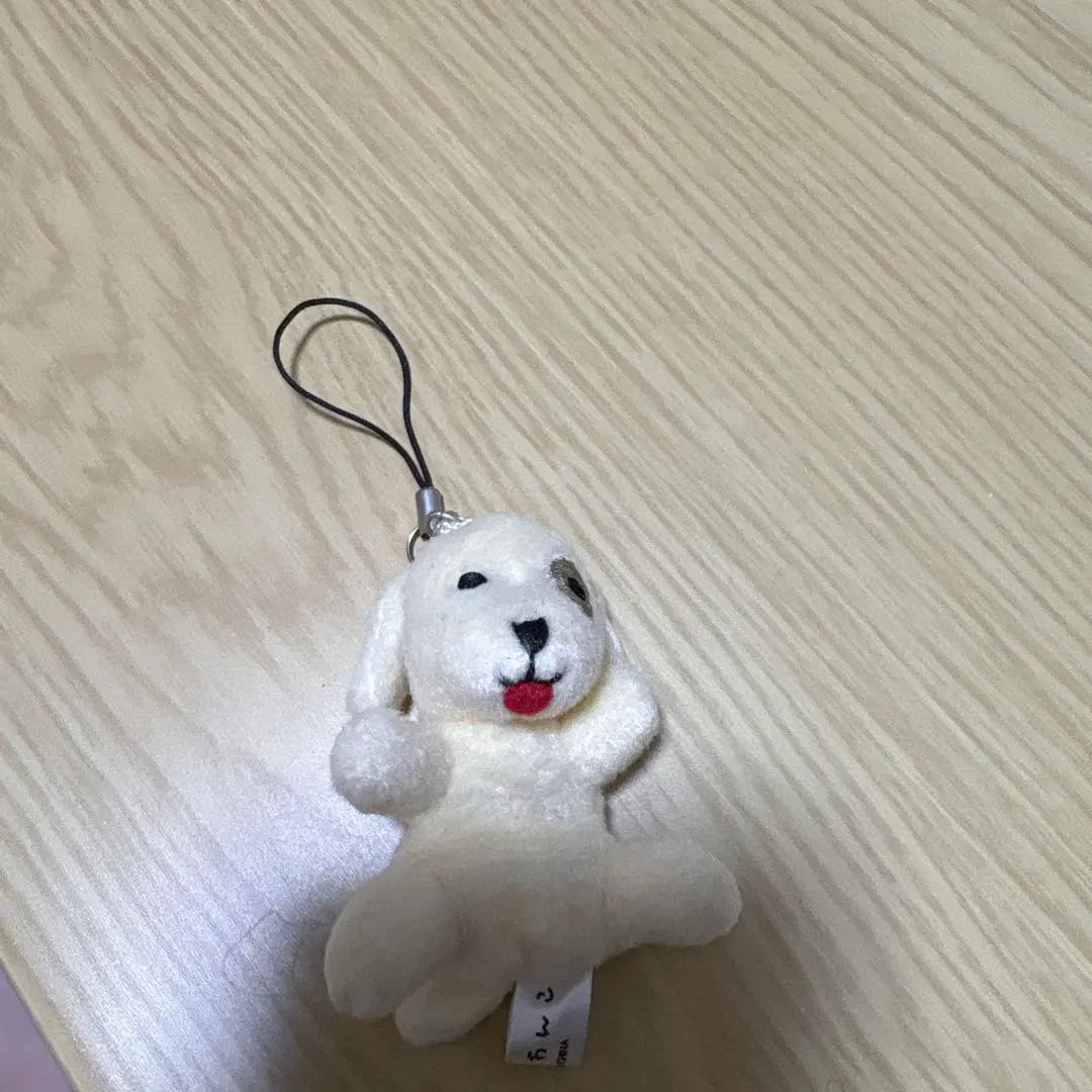 今日のわんこ　犬のぬいぐるみ 　キーホルダー付き 未使用　フジテレビ　レア 今日のわんこ 犬のぬいぐるみ キーホルダー付き 未使用 フジ