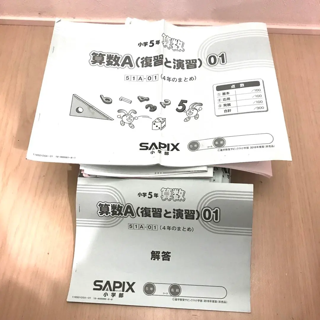 Ariel出品　sapix 2024年度　5年生　教材2 代々木ゼミナール（予備校） | 書籍案内