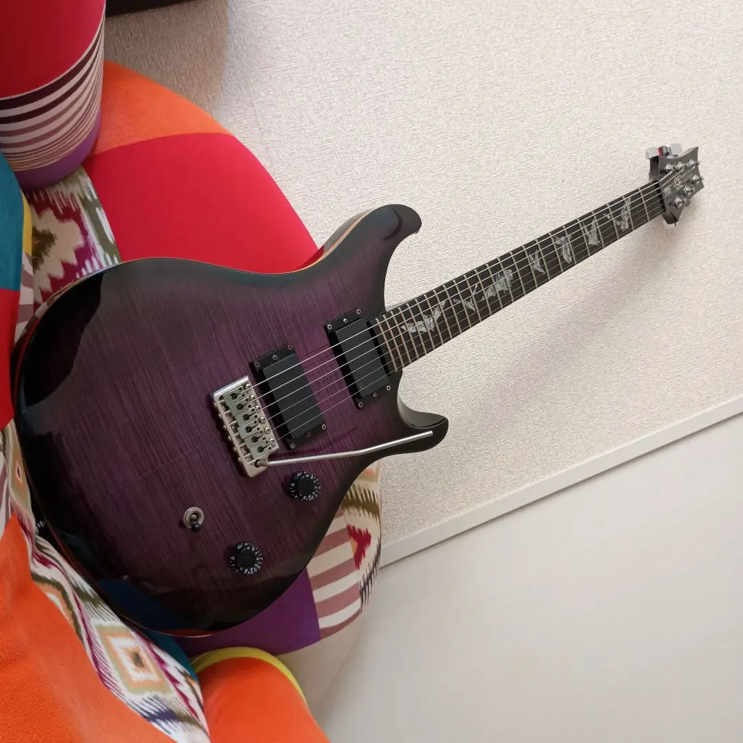 2025年最新】prs se emgの人気アイテム - メルカリ